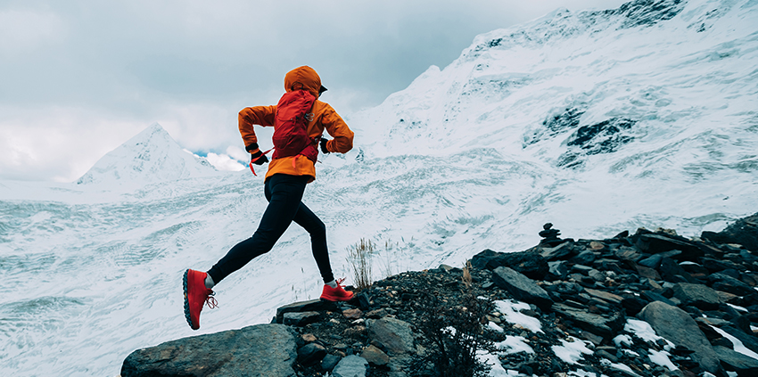 Physiopathologie et médecine des sports d'endurance